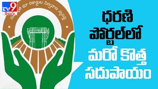 ధరణి వెబ్ సైట్ లో పట్టాదారులకు  కొత్త ఆప్షన్ - TV9