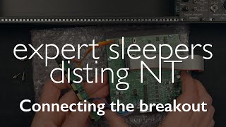 disting NT - Connecting the breakout