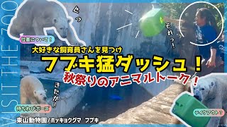 フブキくん名物飼育員さん登場に猛ダッシュ！大張り切り！【秋のアニマルトーク】 #東山動物園 #ホッキョクグマ #フブキ