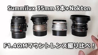 【Mマウント 35mm】Summilux 35mm 3本とNokton F1.4のレンズ4本で撮り比べ！ あなたはどの写真がどのレンズかわかりますか？【ライカ ズミルックス】