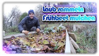 Laub sammeln und Beete winterfest machen | Frühbeet und Artischoke mulchen