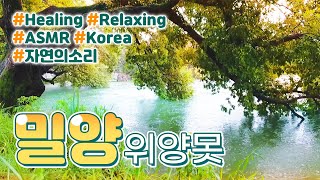 [K-지오그래픽] 밀양 위양못 Part3 | 힐링, 명상, Sleep, Study, Relaxing, White Noise, ASMR, Korea | 1 Hours