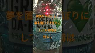 後悔だけが人生さと思う個人事業主