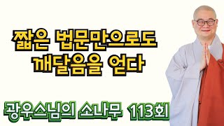 짧은 법문만으로도 깨달음을 얻다 | 광우스님의 소나무113회