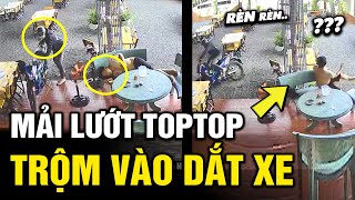 Thanh niên đang lướt TOPTOP, thì trộm vào tận nơi để dắt xe nhưng kết không như mơ |  Tô Tin Tức ✔