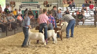 Seneca County Fair returns with full schedule of events