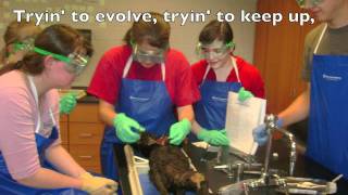 Dissect You! (AP Bio Cee Lo Green "Forget You" parody)