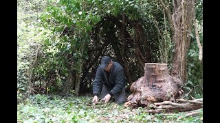 Building Warm Bushcraft Camp, Campfire Cooking, Solo Off Grid, wilderness camping