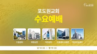 2025.02.05 포도원교회 수요밤예배(실시간) |  김양진목사