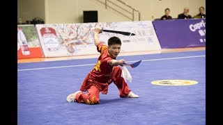 Men's Double Broadsword 男子双刀 第2名 湖南队 张昆 8.91分 hu nan zhang kun