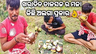 #debasahuvillagevlogs||ଆଜି ତାଳସଜ ର ମନଭରି ଉପଭୋଗ କଲୁ||କେମିତି ଗଛରୁ ଏସବୁ ଆଉ କିଏ ଆଣିଲା?🤫