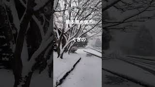 🇯🇵 熊本県水俣市🐗🗾❄💅💍雪が降るくぎの駅跡🐸🌷❄🌈🌛