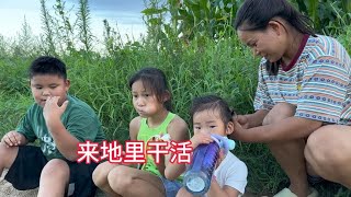 李佳一家人去地里干活，没想到阿杜吐露心声，说出对三孩子的感情