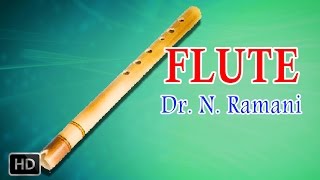Flute - Classical Instrumental - Theeratha Vilayattu Pillai - Dr. N. Ramani