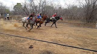 Linda Largada dos Potros do 2° Torneio TURFE PIAUÍ \u0026 RANCH CHASSIS DE ZUZA