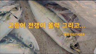 고등어 전갱이 볼락 그리고 원투낚시등등 편하게 낚시 즐기세요...