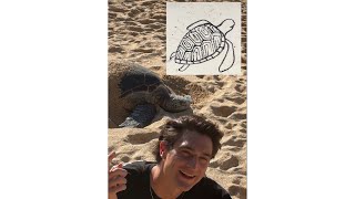 Sea Turtle Tutorial! Anyone can draw this :) inspired by the real thing #turtle #drawingtutorial