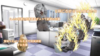 『猫ミーム』繁忙期の会計事務所のお話