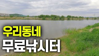 파주의 유일한 무료낚시터, 공릉천 낚시허용구간의 최근소식