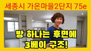 234. 세종시아파트,다정초중고 바로 앞 가온마을2단지 75e타입 29평내부구조 평면도 입지 소개 영상