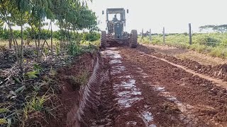 Motoniveladora Inicio de Recuperação Acesso para Cafeicultor