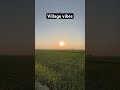 village vibes by creative bihari creativebihari shorts trendingshorts viral village