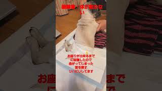 曲がってしまった首を戻すリハビリ #認知症犬 #shorts