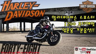 할리데이비슨 1200포티에잇 입문하기 좋은 바이크의 기본옵션과 특장점(2020 harley davidson, xl1200x)