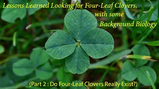 Lessons Learned Looking for Four-Leaf Clovers, with some Background Biology (Part 2)