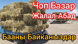 Чоп Базар Жалал-Абад