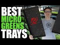 Best Trays For Microgreens (Better Growth & Long Lasting)