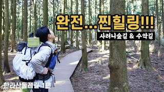 제주도 백패킹!! 한라산 둘레길 추천!! | 사려니숲길 \u0026 수악길 구간 하이킹