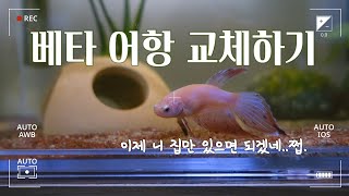 ep.26-1 싸다군 걸이식여과기 여과 없는 후기,베타어항에 설치해봤습니다.