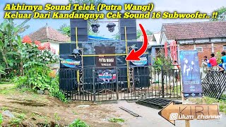 Lama Tak Terlihat Akhirnya Sound Telek (Putra Wangi) Keluar Dari Kandangnya