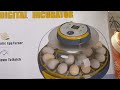 bobmail 21 egg incubator for hatching eggs app control u0026 monitor data for easy incubation review