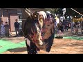 赤沼の獅子舞　2007年秋季例大祭　290年祭