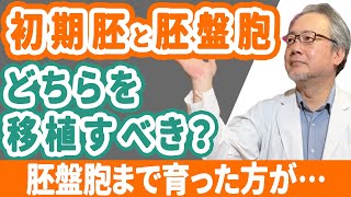 【妊活】3日目初期胚と5日目胚盤胞はどちらが着床しやすい？【胚移植】