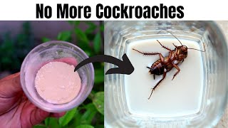 How  to Get Rid of Cockroaches Permanently at Home