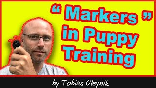 Puppy Training - Marker Word, Clicker or nothing at all?  | Online Dog Training by Tobias Oleynik