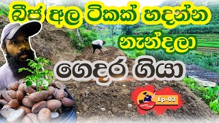 බීජ අල ටිකක් හැදුවා | Sanka Vlogs | Patabedi Productions