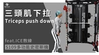 【史密斯機-操練課】(第28課)-三頭肌下拉 Triceps push down  (feat.ICE教練)-S109