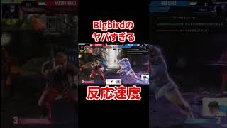 スト6 Bigbird vs Angrybird【Redbull Kumite2023】