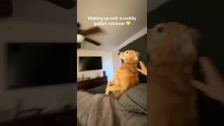 She Do The Nala Flop