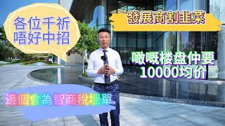 大亞灣置業2024｜德州朗詩麓園｜大亞灣買樓必睇｜教大家避免中招｜配套設施唔够系硬傷｜無畏交智商稅