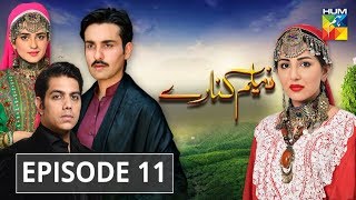 Neelum Kinaray Episode #11 HUM TV Drama