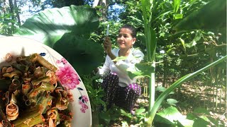 វិធីធ្វើជ្រក់ធាងត្រាវ-Season Taro Growing Fast harvest Taro Stalk making a pickle