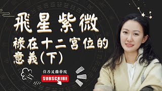 紫微斗數 基礎 | 紫微斗数 基础 | 009 | 紫微斗數 教學 | 紫微斗数 教学 | 紫微课程 | 第9集：禄在十二宫位的意义(下)《零基礎紫微斗數命理學》