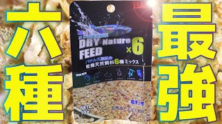 【餌】小型生体によく与える伝説の6種のみで構成された次世代のメダカ飼料。バチルス菌入りで腸にも優しい！リキジャパン DRY Nature Feed×6【ふぶきテトラ】