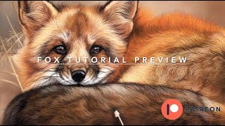 FOX Drawing - Tutorial Preview. Vibrant, Soft Fur Using Soft Pastels + Pastel Pencils #pasteldrawing