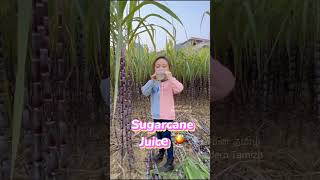 சீன கரும்புச்சாறு குடிக்கலாமா!🤤நான் இலக்கியா🤩| china sugarcane juice shorts|நவீன தமிழ்|Modern Tamizh